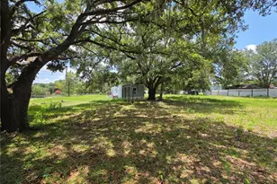 8443 Hamster Dr, Zephyrhills, FL 33540 - Photo 5