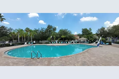 11115 Silver Dancer Drive, Riverview, FL 33579 - Photo 41