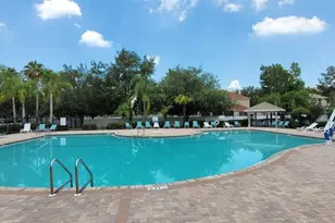 11115 Silver Dancer Dr, Riverview, FL 33579 - Photo 41