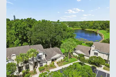 5100 Burchette Road #3207, Tampa, FL 33647 - Photo 47