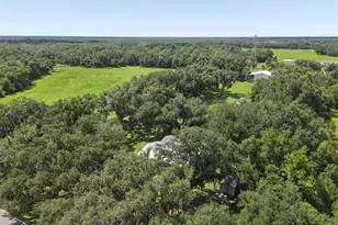4920 W Knights Griffin Rd, Plant City, FL 33565 - Photo 65