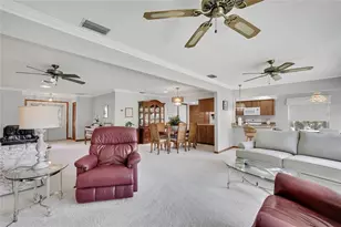 6333 Pine Meadows Dr, Spring Hill, FL 34606 - Photo 9