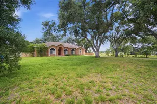 6611 W Knights Griffin Rd, Plant City, FL 33565 - Photo 3