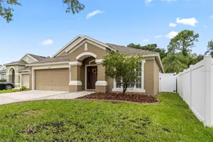 5417 Algerine Pl, Wesley Chapel, FL 33544 - Photo 41
