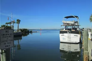 2107 Grove Valley, Palm Harbor, FL 34683 - Photo 49
