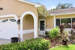 7323 Skyview Ave, New Port Richey, FL 34653 - Photo 5