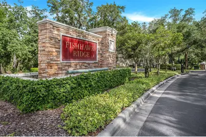 5842 Fishhawk Ridge Drive, Lithia, FL 33547 - Photo 3