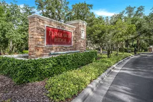 5842 Fishhawk Ridge Dr, Lithia, FL 33547 - Photo 3