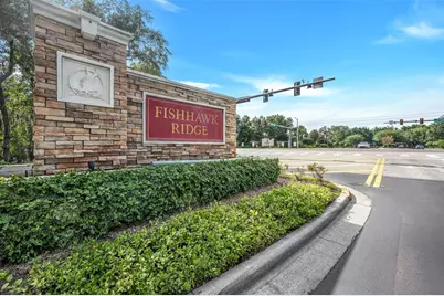 5842 Fishhawk Ridge Drive, Lithia, FL 33547 - Photo 47
