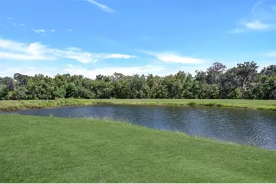 5842 Fishhawk Ridge Drive, Lithia, FL 33547 - Photo 39