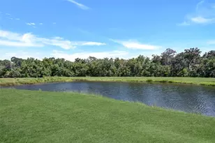 5842 Fishhawk Ridge Dr, Lithia, FL 33547 - Photo 39