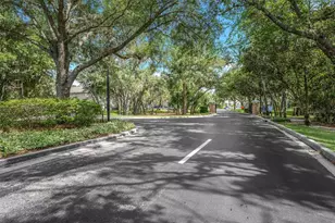 5842 Fishhawk Ridge Dr, Lithia, FL 33547 - Photo 49