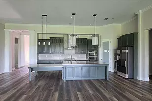 35436 Big Hawk Dr, Zephyrhills, FL 33541 - Photo 3
