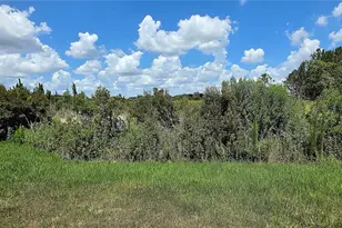 35436 Big Hawk Dr, Zephyrhills, FL 33541 - Photo 13