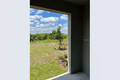 31611 Blue Passing Loop, Wesley Chapel, FL 33545 - Photo 19