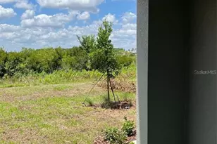 31611 Blue Passing Loop, Wesley Chapel, FL 33545 - Photo 19