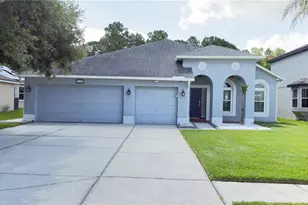 5150 Villagebrook Dr, Wesley Chapel, FL 33544 - Photo 1