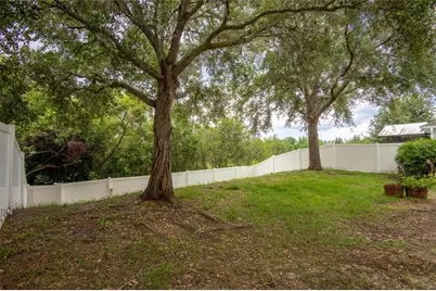 3142 Bellericay Lane, Land O Lakes, FL 34638 - Photo 37
