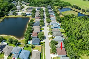 3142 Bellericay Ln, Land O Lakes, FL 34638 - Photo 45