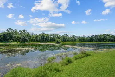 15424 Osprey Glen Drive, Lithia, FL 33547 - Photo 31