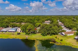 15424 Osprey Glen Dr, Lithia, FL 33547 - Photo 37