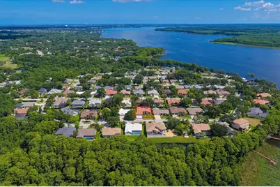 3909 Tarian Court, Palm Harbor, FL 34684 - Photo 5