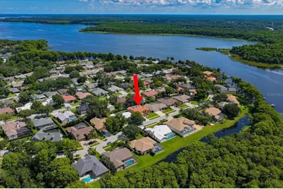 3909 Tarian Court, Palm Harbor, FL 34684 - Photo 3
