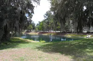 30709 Lanesborough Cir, Wesley Chapel, FL 33543 - Photo 25