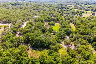 11768 N Gatlen Ave, Dunnellon, FL 34433 - Photo 41