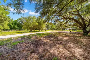 11768 N Gatlen Ave, Dunnellon, FL 34433 - Photo 39