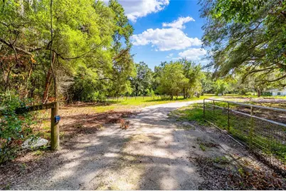 11768 N Gatlen Avenue, Dunnellon, FL 34433 - Photo 37