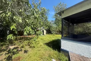 14928 Pine Crest Rd, Tampa, FL 33613 - Photo 7