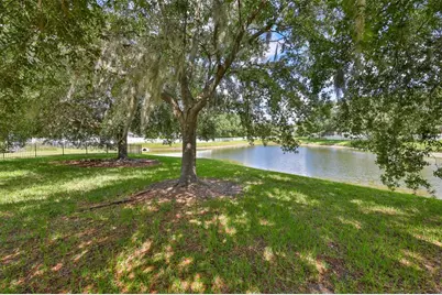 16508 Amberwind Lane, Lutz, FL 33558 - Photo 5