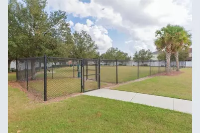 7020 Blue Beech Drive, Riverview, FL 33578 - Photo 39