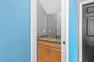 19419 Red Sky Ct, Land O Lakes, FL 34638 - Photo 3
