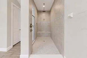 13712 Osprey Fern Ln, Riverview, FL 33569 - Photo 41