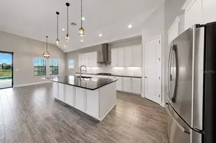 13712 Osprey Fern Ln, Riverview, FL 33569 - Photo 29