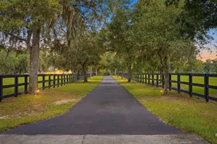19950 SW 5th Pl, Dunnellon, FL 34431 - Photo 5