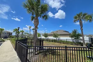 838 Olive Conch St, Ruskin, FL 33570 - Photo 23