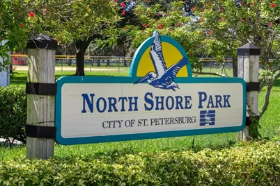2120 1st Street N, Saint Petersburg, FL 33704 - Photo 23