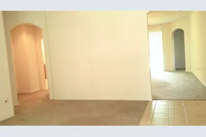 609 Cedar Waxwing Drive, Brandon, FL 33510 - Photo 11