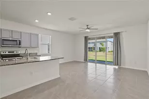 33055 Tulip Petal Ln, Wesley Chapel, FL 33545 - Photo 11