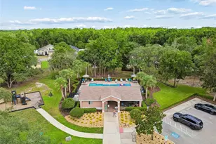 12155 Infinity Dr, New Port Richey, FL 34654 - Photo 71