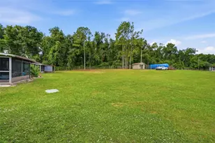 10310 Blue Field Ct, Thonotosassa, FL 33592 - Photo 27