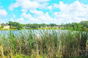 851 N Keene Rd, Clearwater, FL 33755 - Photo 71