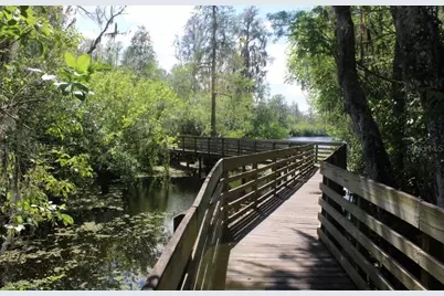 13304 Sanctuary Cove Drive #302, Tampa, FL 33637 - Photo 59