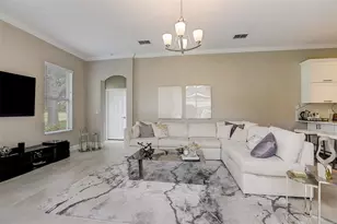 23338 Dinhurst Ct, Land O Lakes, FL 34639 - Photo 19