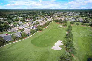 23338 Dinhurst Ct, Land O Lakes, FL 34639 - Photo 55