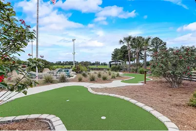 23338 Dinhurst Court, Land O Lakes, FL 34639 - Photo 47