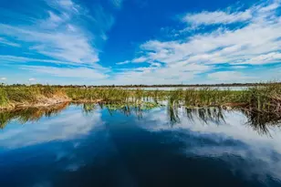 [Address not provided], Largo, FL 33773 - Photo 55